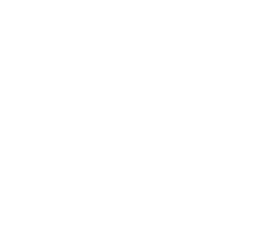 feel-ganzheitliche-gesundheit-logo